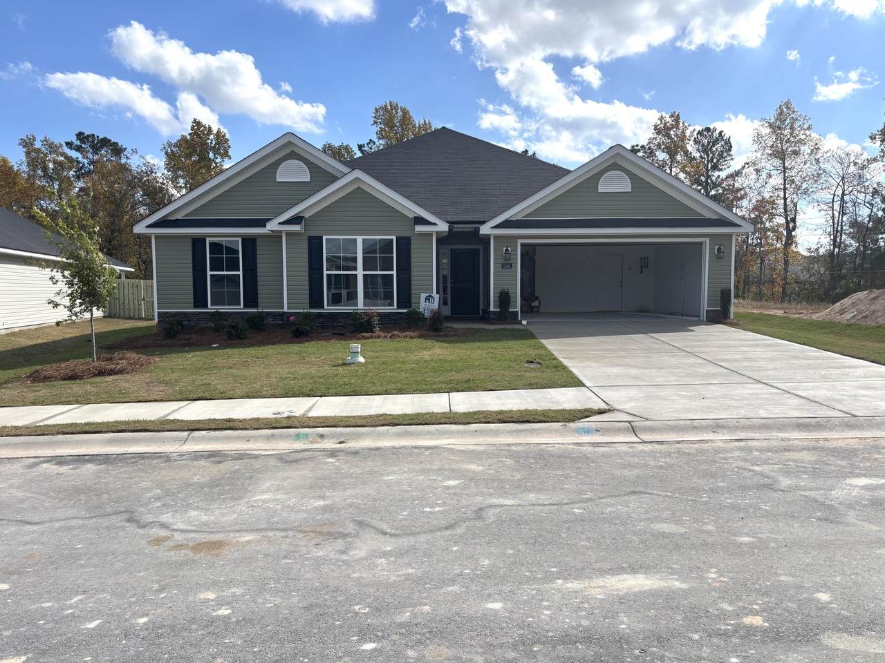 1341 Elbron Drive - Photo 1