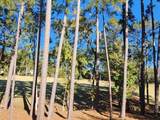 314 Palmer Lane - Photo 45