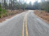 Lot 32 Stapleton Acres Drive - Photo 5