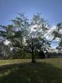 2432-A Tobacco Road - Photo 6