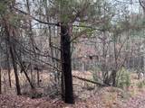 1956 Pineywoods Road - Photo 9