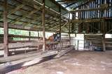 1341 Ga Highway 171 - Photo 73