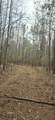 0 Hwy 220 - Photo 19