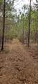 0 Hwy 220 - Photo 11