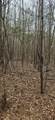 0 Hwy 220 - Photo 15