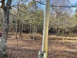 3763 Gracewood Drive - Photo 5