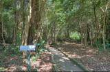 1017 Stevens Creek Road - Photo 23