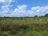 000 Hollow Creek Road - Photo 2
