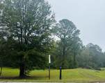 4246 Augusta Highway - Photo 2