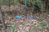 000 Johannes Drive - Photo 23