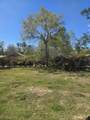 358 Mary Ann Street - Photo 12