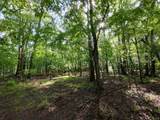 000 Bellewood Drive - Photo 4