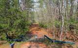 454 Wilderness Trail - Photo 1
