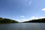 4450 Baywood Trl - Photo 14
