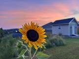 1391 Ackerman Drive - Photo 42