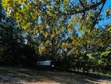 182 Squirrel Road - Photo 4