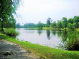 1982 Sylvan Lake Drive - Photo 11