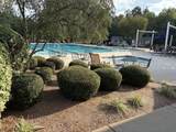 608 Burgamy Pass - Photo 50