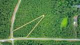 Lot 36 Savannah Ridge Road - Photo 13