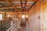 1526 Houston Drive - Photo 44