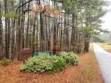 Tbd Springhaven Drive - Photo 5
