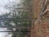 2005 Mcdade Farm Road - Photo 1