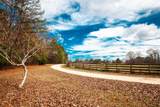 1215 Guillebeau Road - Photo 4