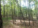 1054 Pine Point Lane - Photo 9