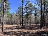 2296 Williams Road Road - Photo 3