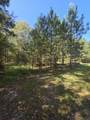 0 Beaver Dam Road - Photo 3