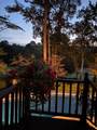313 Live Oak Road - Photo 32