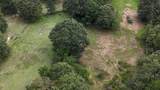 5298 Henderson Road - Photo 46