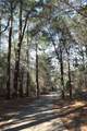 486 Old Walnut Branch - Photo 58