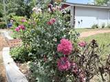 123 Cheryl Ann Drive - Photo 38