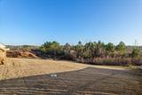 659 Whitney Shoals Road - Photo 65