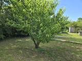 1667 Eden Hall Road - Photo 37