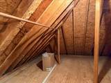 453 Timber Wolf Trail - Photo 40