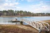 1155 Maiden Cane Way - Photo 63