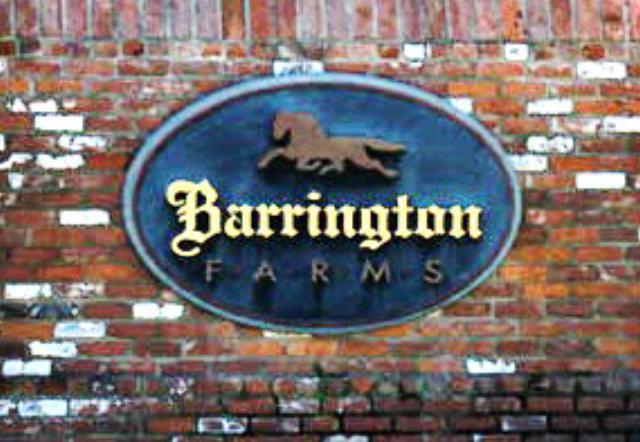 Lot 5-6 Barrington Farms Dr. - Photo 1