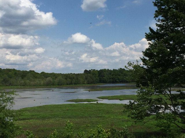 4241 Windslow Drive - Photo 1