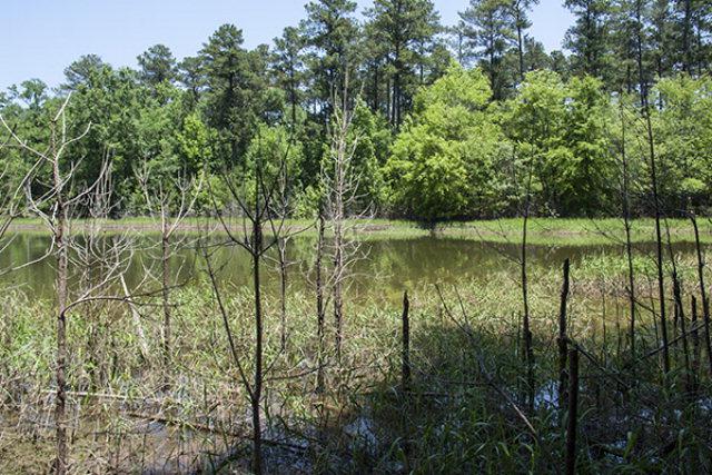 1114 Sunset Cove - Photo 1