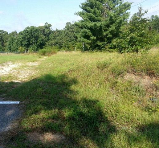 1439 Clark Road - Photo 1