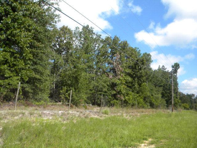 0 Hobbs Mill Road - Photo 1