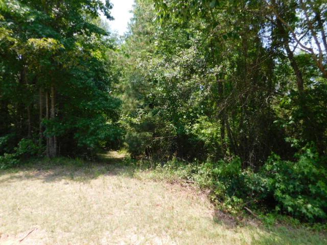 0 Wildwood Lane - Photo 1