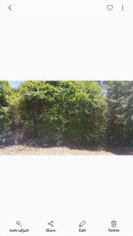 Lot 62B Carriage Lane - Photo 1