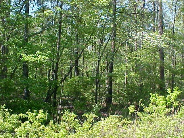 0 C & E Circle - Photo 1