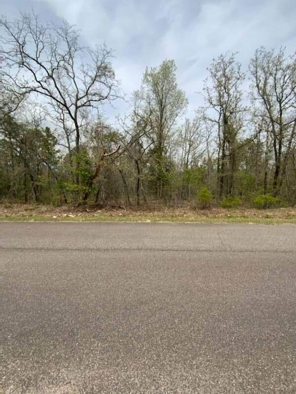 0 Cumbee Trail Road - Photo 1