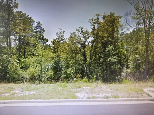 3926 Carolyn Street - Photo 1