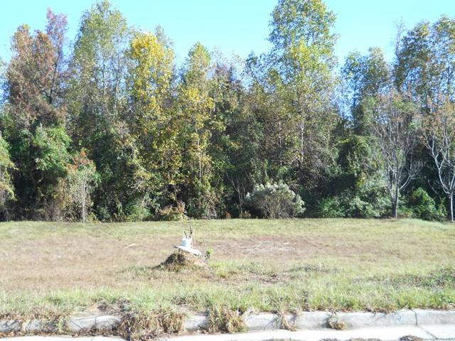 1817 Heathers Way - Photo 1