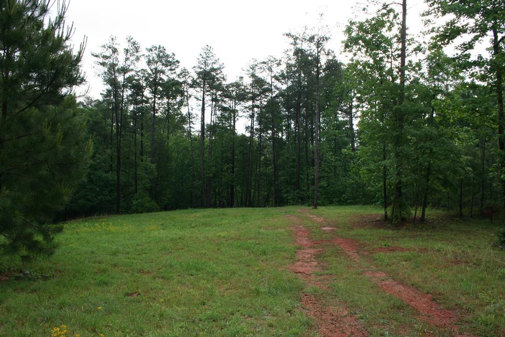 4149 Pine Ridge Road - Photo 1